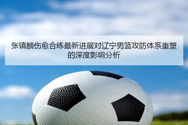 张镇麟伤愈合练最新进展对辽宁男篮攻防体系重塑的深度影响分析 | FIFAWorldcup