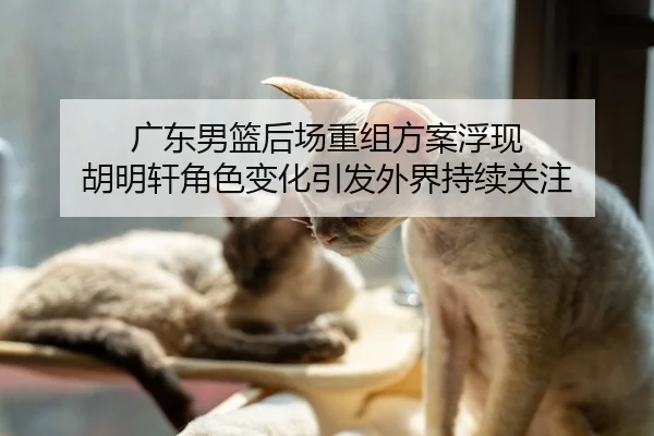 广东男篮后场重组方案浮现 胡明轩角色变化引发外界持续关注 - FIFAWorldcup